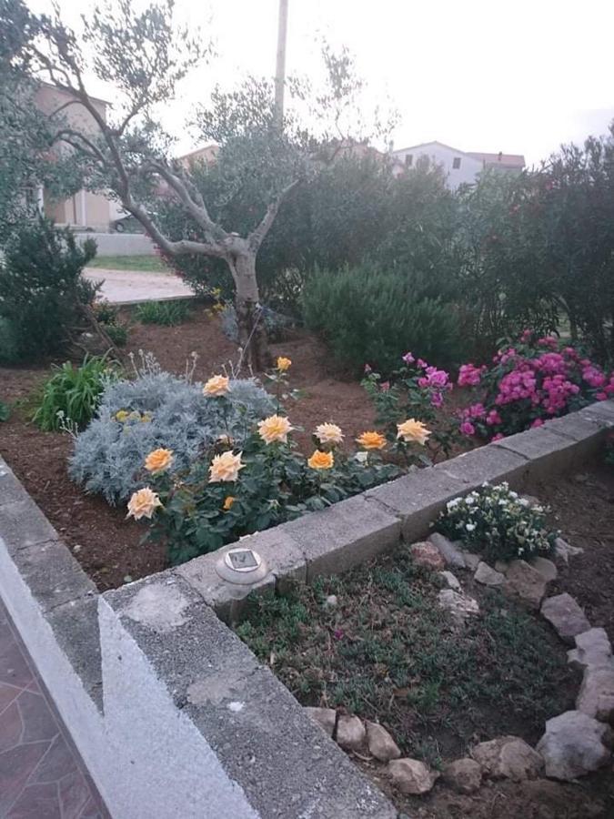 Apartments Zoran Povljana Bagian luar foto