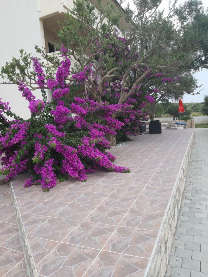 Apartments Zoran Povljana Bagian luar foto